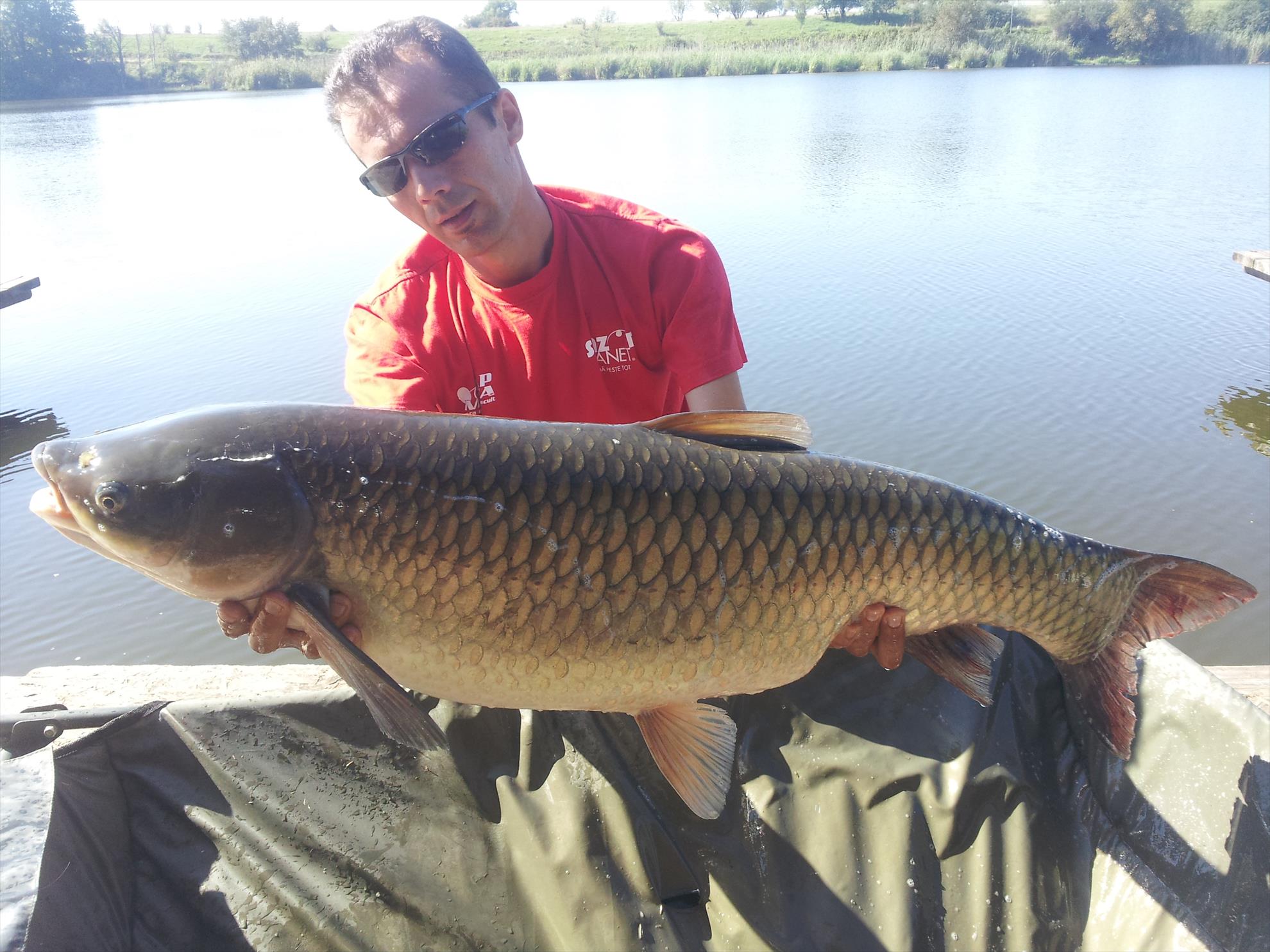 Tancabesti 31 august - 7 septembrie 2014 - 20140901103824.jpg